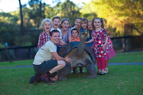 Australian Reptile Park - Accommodation Great Ocean Road 11