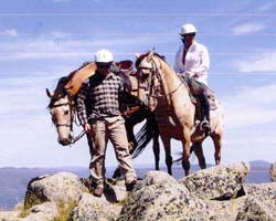 High Country Horses - Accommodation Great Ocean Road 3