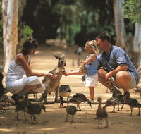 Billabong Sanctuary - Accommodation Great Ocean Road