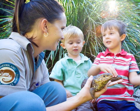 David Fleay Wildlife Park - Accommodation Great Ocean Road 3