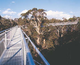 Walpole WA Accommodation Great Ocean Road