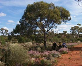 Karlkurla Bushland Park - Accommodation Great Ocean Road 0