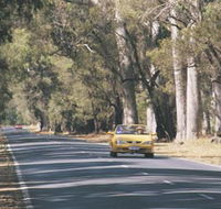 Ludlow Tuart Forest - Accommodation Great Ocean Road