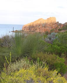 Meelup Trail - Accommodation Great Ocean Road 0