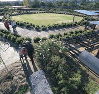 Kojonup Rose Maze - Accommodation Great Ocean Road