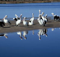 Peel Region Canoe Trails - Accommodation Great Ocean Road
