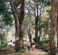 Law Trail and Lotterywest Federation Walkway Kings Park - Accommodation Great Ocean Road