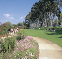 Kings Park Free Guided Walks - Accommodation Great Ocean Road