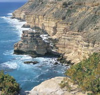 Island Rock and Natural Bridge - Accommodation Great Ocean Road