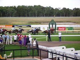 Pinjarra Race Club - Accommodation Great Ocean Road 0