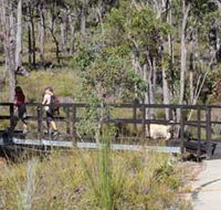 Forest Path Crooked Brook - Accommodation Great Ocean Road