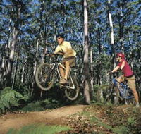 Leeuwin-Naturaliste National Park - Cowaramup - Accommodation Great Ocean Road