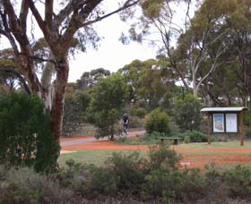Gribble Creek Walk And Cycle Way - Accommodation Great Ocean Road 0