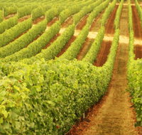 Happs Wines - Accommodation Great Ocean Road