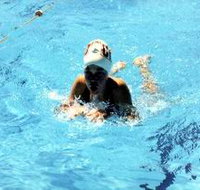 Mount Gambier Aquatic Centre - Accommodation Great Ocean Road