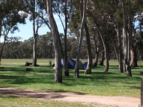 Wild Dog Valley SA Accommodation Great Ocean Road