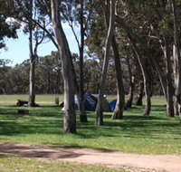 Black Cockatoo Bush Camp - Accommodation Great Ocean Road
