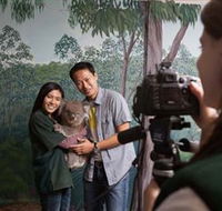 Cleland Wildlife Park - Accommodation Great Ocean Road