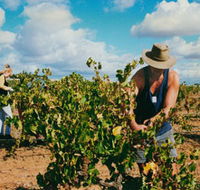 Torbreck Vintners - Accommodation Great Ocean Road
