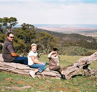 Bridle Track - Accommodation Great Ocean Road