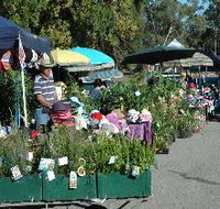 Meadows Monthly Market - Accommodation Great Ocean Road
