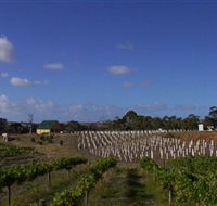 Deep Creek Wines and Alpacas - Accommodation Great Ocean Road