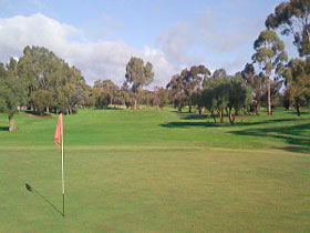 Regency Park Golf Course - Accommodation Great Ocean Road 0