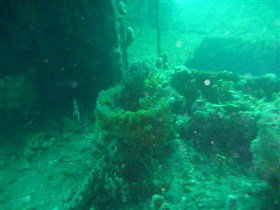 Wallaroo Scuba Club - Accommodation Great Ocean Road 0