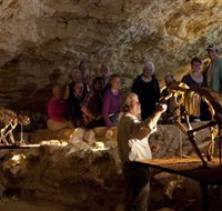 Naracoorte Caves National Park - Accommodation Great Ocean Road