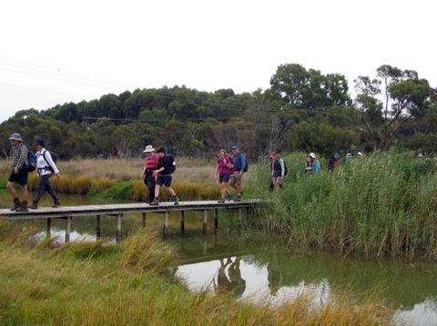Lavender Federation Trail - Accommodation Great Ocean Road 1