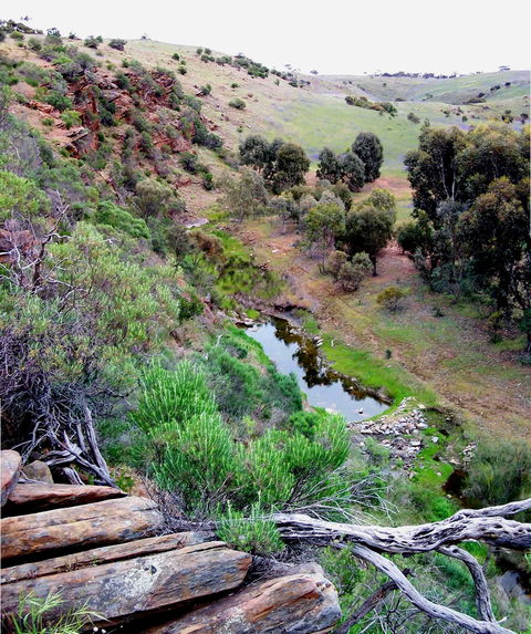 Lavender Federation Trail - Accommodation Great Ocean Road 3