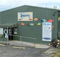 Stanley Seaquarium - Accommodation Great Ocean Road