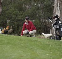 Tasmania Golf Club - The - Accommodation Great Ocean Road