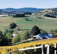 Freycinet Vineyards Pty Ltd - Accommodation Great Ocean Road