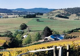 Freycinet Vineyards Pty Ltd - Accommodation Great Ocean Road 0