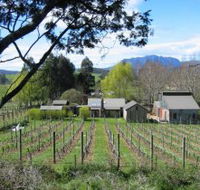 Wilmot Hills Vineyard - Accommodation Great Ocean Road