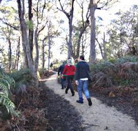 Bridport Walking Track - Accommodation Great Ocean Road