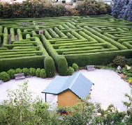 Westbury Maze and Tea Room - Accommodation Great Ocean Road