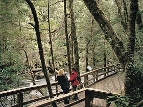 Franklin River Nature Trail - Accommodation Great Ocean Road 0