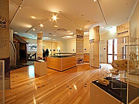 Tasmanian Tiger Exhibition - Accommodation Great Ocean Road 0