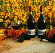 Craigow Vineyard - Accommodation Great Ocean Road
