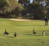 Royal Hobart Golf Club - Accommodation Great Ocean Road