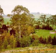 The Tasmanian Arboretum - Accommodation Great Ocean Road