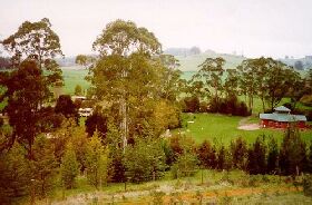 The Tasmanian Arboretum - Accommodation Great Ocean Road 0