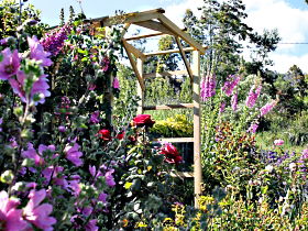 Thelma Retreat Garden And Teahouse - Accommodation Great Ocean Road 0