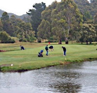 Penguin Golf Course - Accommodation Great Ocean Road