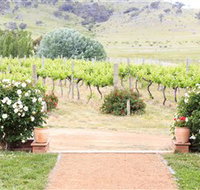 Brindabella Hills Winery - Accommodation Great Ocean Road