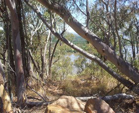 Black Mountain - Accommodation Great Ocean Road 0