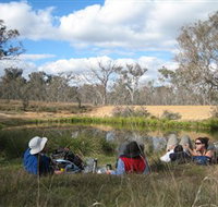 Canberra Nature Park - Accommodation Great Ocean Road