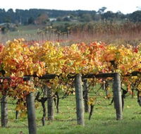 Apsley Gorge Vineyard - Accommodation Great Ocean Road